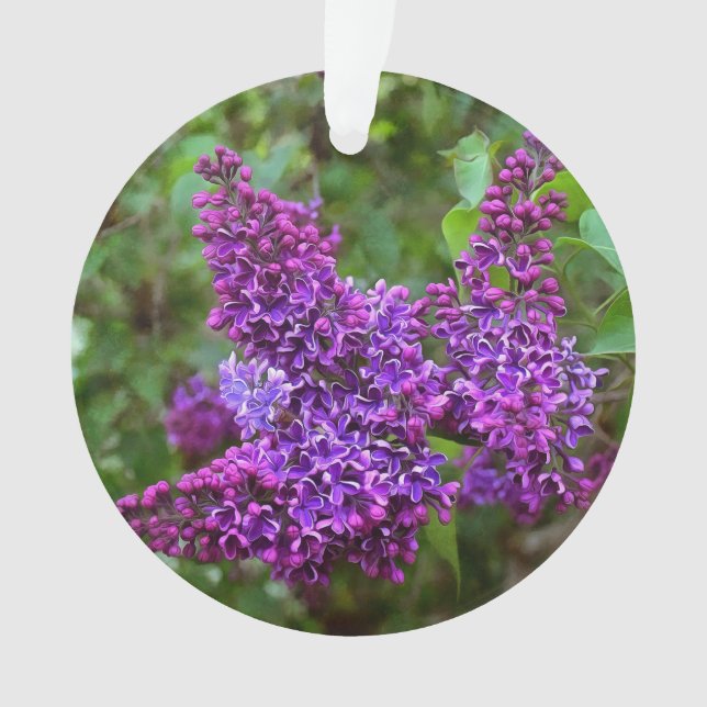 Lila Lilacs Ornament (Vorderseite)