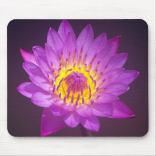 Lila Lotos-Blume Mousepad