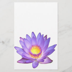 Lila Lotos-Blumen-Briefpapier Briefpapier