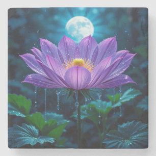 Lila Lotus Blossom unter Mondlicht Steinuntersetzer