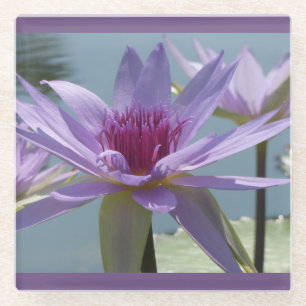 Lila Lotus-Blume Naher Untersetzer