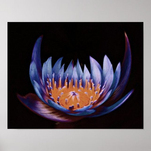 Lila-Lotus-Blume Poster (Vorne)