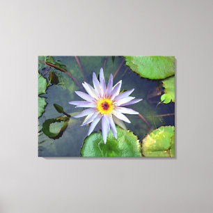 Lila Lotus Canvas Print Leinwanddruck