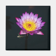 Lila Lotus-Wasserlilie-Dragonfly-Nymph-Magnet