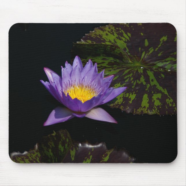 Lila Lotus Wasserlilie Mouse Pad Mousepad (Vorne)