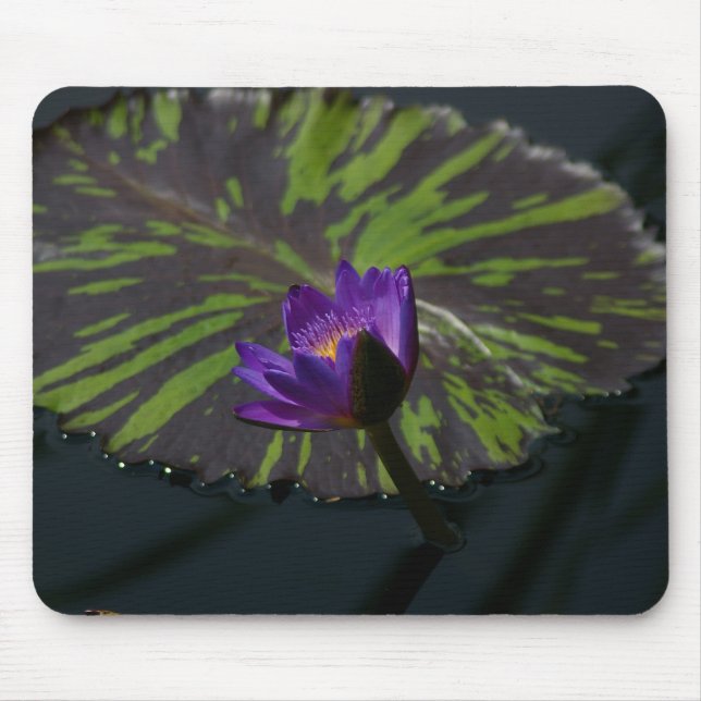 Lila Lotus Wasserlilie Mouse Pad Mousepad (Vorne)