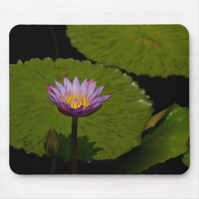 Lila Lotus Wasserlilie Mouse Pad Mousepad (Vorne)