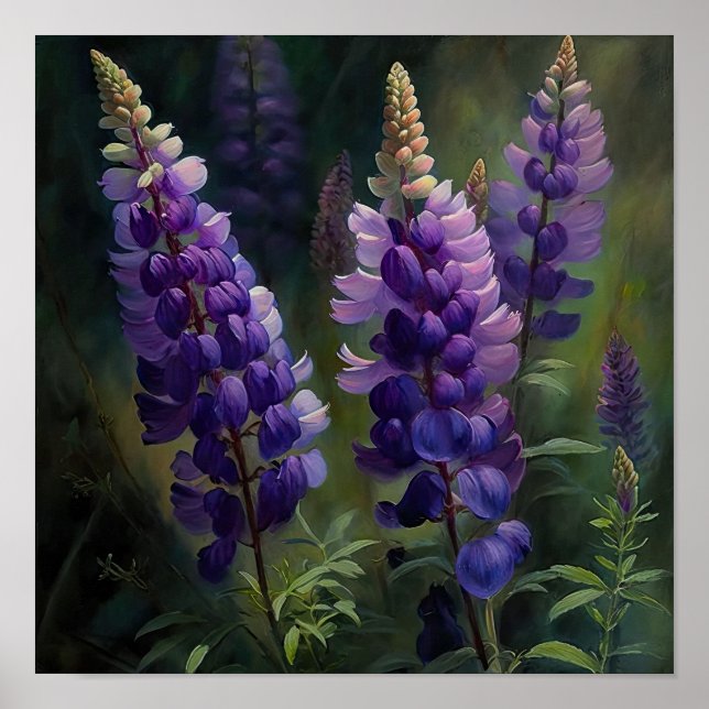 Lila Lupine Blume Art Print Poster (Vorne)