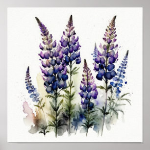 Lila Lupine Blume Art Print Poster