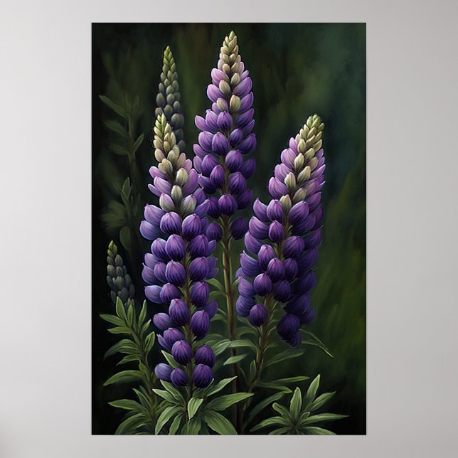 Lila Lupine Blume Art Print Poster (Vorne)