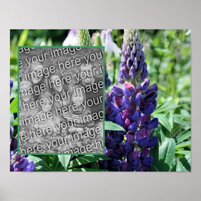 Lila Lupine Blume Rahmen Foto hinzufügen Poster (Vorne)