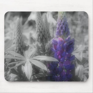 Lila Lupine-Blume Schwarz-Weiß-Mousepad Mousepad