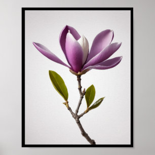 Lila magnolische Blume, Magnolia felix Wall Poster