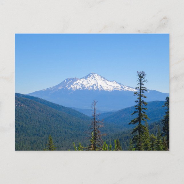 Lila Majestät (Monte Shasta, CA) Postkarte (Vorderseite)