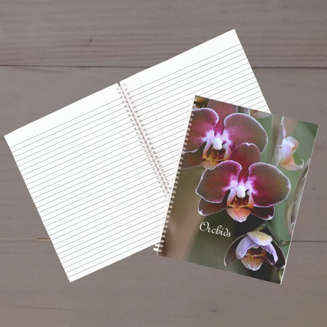 Lila Maroon Orchid Blossoms Botanischer Flur Notizbuch (Von Creator hochgeladen)