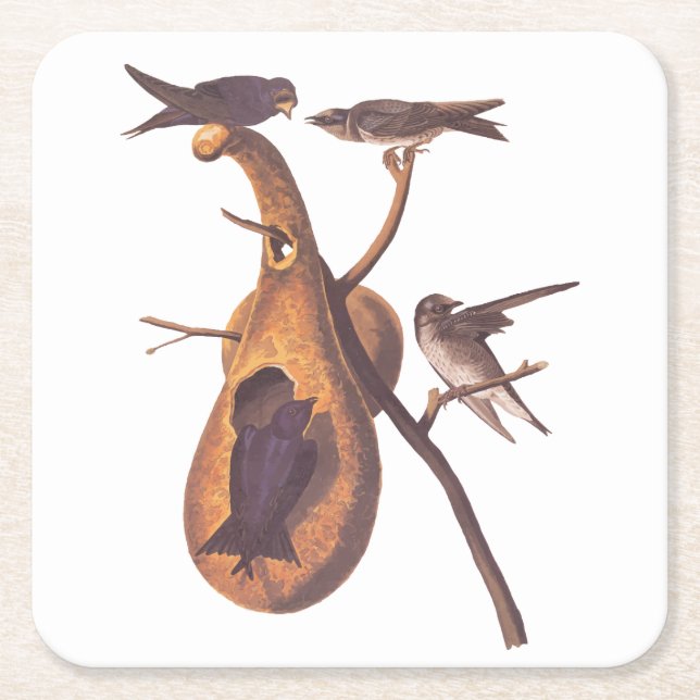 Lila Martin Audubon Bird Family und Gourd Zuhause Rechteckiger Pappuntersetzer (Vorderseite)