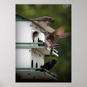 Lila Martin Family Poster