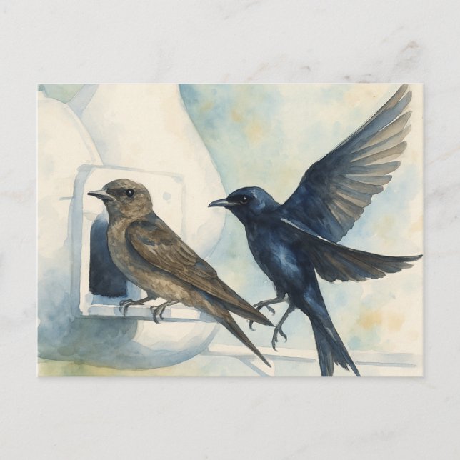 Lila Martin Landlord Nature Swallow Bird Gourds Postkarte (Vorderseite)