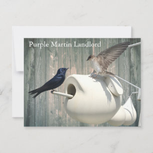 Lila Martin Landlord Nature Swallow Bird Gourds Postkarte