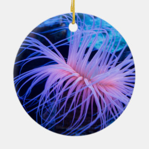 Lila Meeresanemon Keramik Ornament