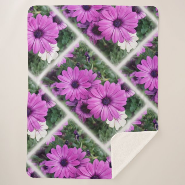 Lila Molkereien Sherpadecke (Vorderseite)