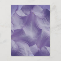 Lila Moon Blume Petals
