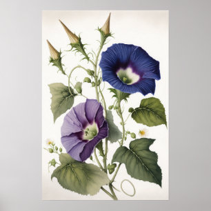 Lila Morgen-Glorien-Blumen-Kunstposter Poster