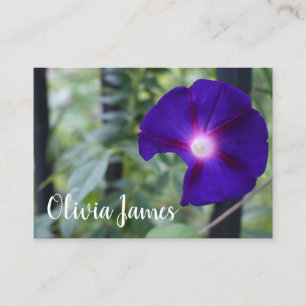 Lila Morning Glory Garden Blume Natur Foto Visitenkarte