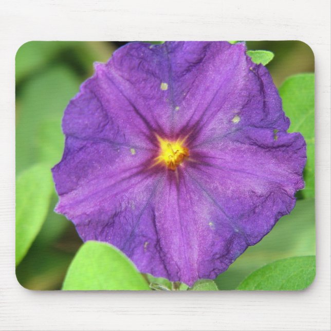 LILA MOUSEPAD (Vorne)