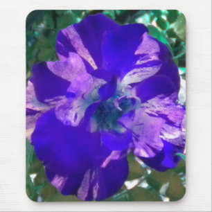 Lila Mousepad mit variierter Rose