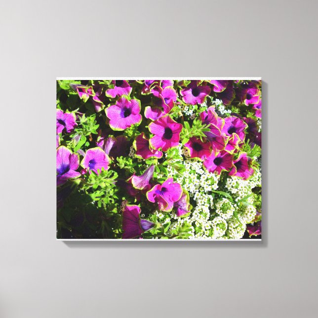 Lila Mum und weiße Blume Leinwanddruck (Vorderseite)