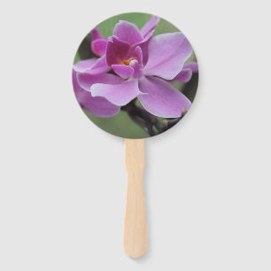 Lila Nachtfalter-Orchideen auf einem Handfächer