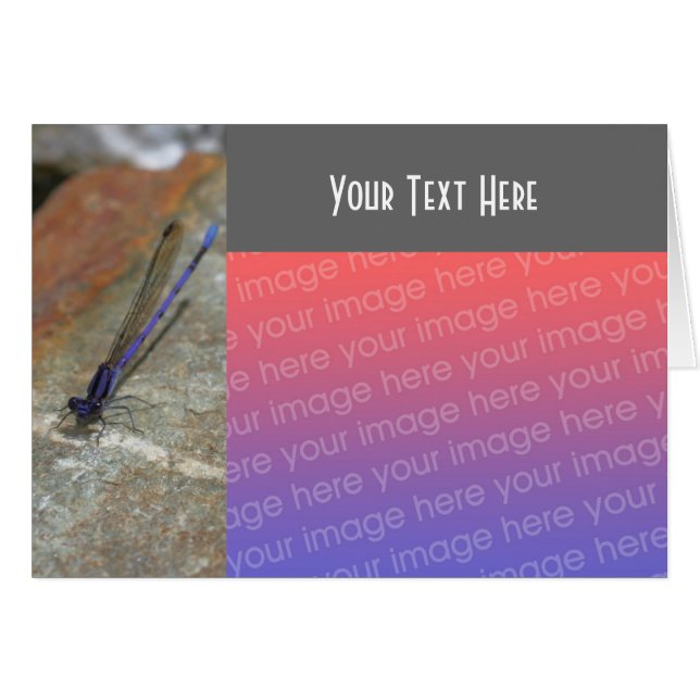 Lila Naturfotokarte (Vorderseite (Horizontal))