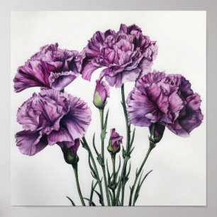 Lila Nelken Blume Art Print Poster