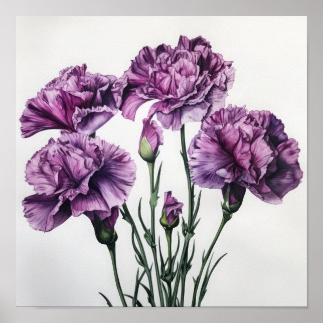 Lila Nelken Blume Art Print Poster (Vorne)