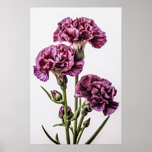 Lila Nelken Blume Art Print Poster