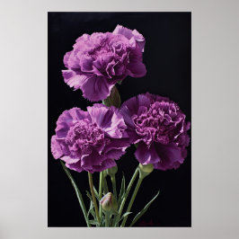 Lila Nelken Blume Art Print Poster