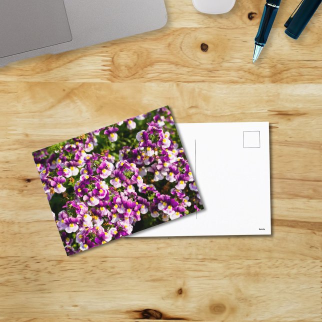 Lila Nemesia Blume Postkarte (Von Creator hochgeladen)
