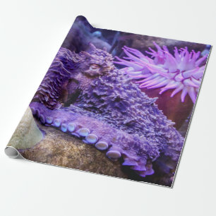 Lila Octopusverpackungspapier Geschenkpapier