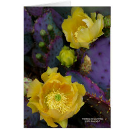 Lila Opuntiekaktus-Gelb-Blumen der stacheligen