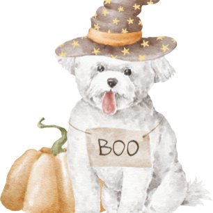 LILA ORANGE BLACK GREEN HALLOWEEN KARIERTEN PATTER