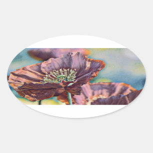 Lila-orangefarbene Mohnblüten Blume Aquarell Ovaler Aufkleber