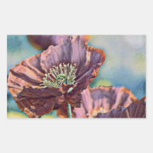 Lila-orangefarbene Mohnblüten Blume Aquarell