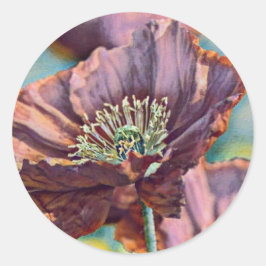 Lila-orangefarbene Mohnblüten Blume Aquarell Runder Aufkleber