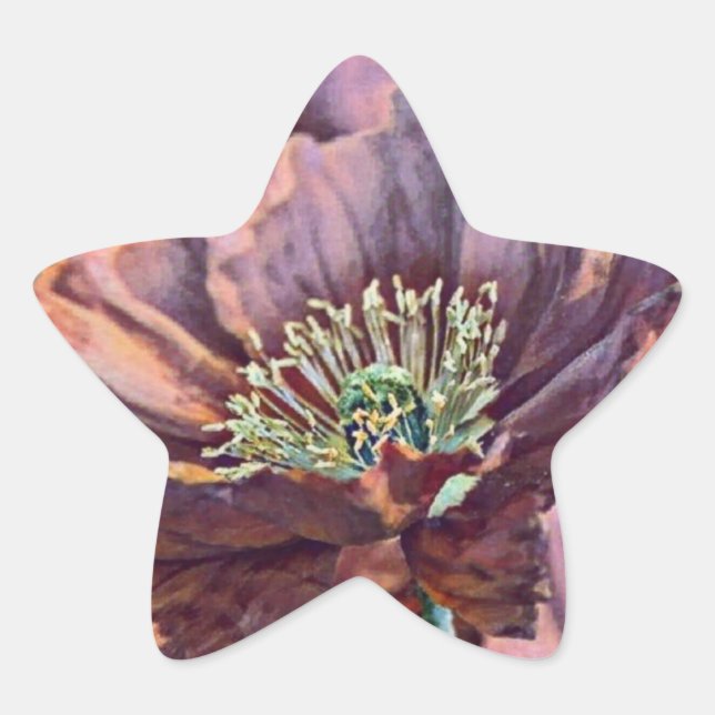 Lila-orangefarbene Mohnblüten Blume Aquarell Stern-Aufkleber (Vorderseite)