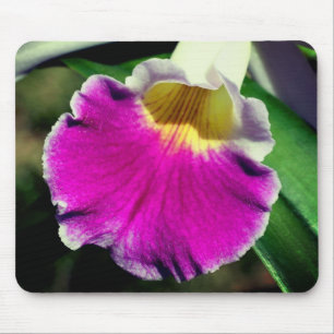 Lila Orchid-Blume Mousepad