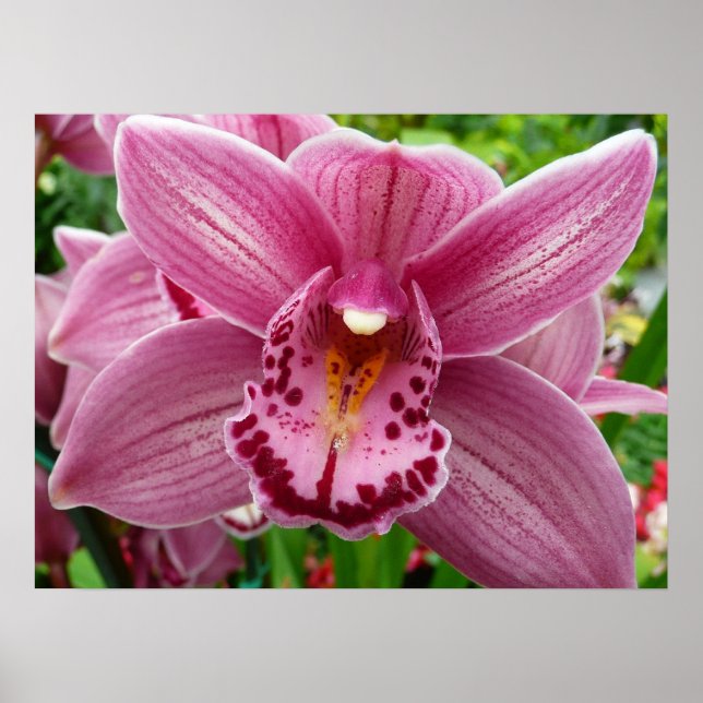 Lila Orchid Elegante Poster (Vorne)