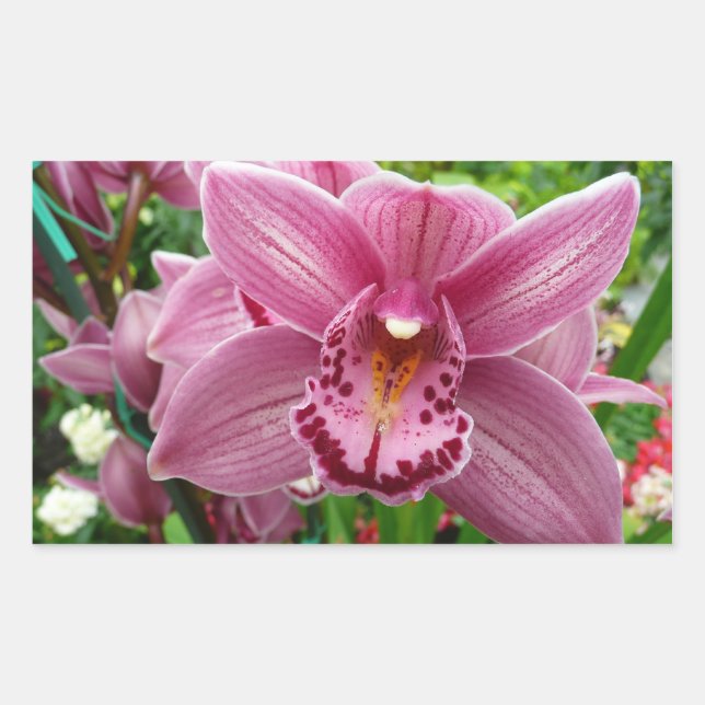 Lila Orchid Elegante Rechteckiger Aufkleber (Vorderseite)