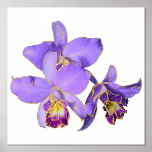 Lila Orchid Group Print Poster