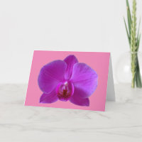 Lila Orchid-Grußkarte